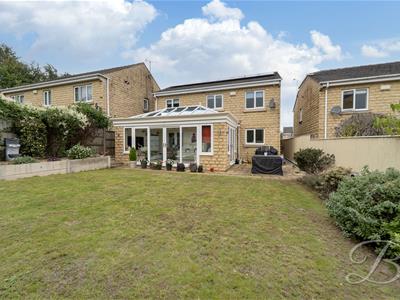 Picture 49